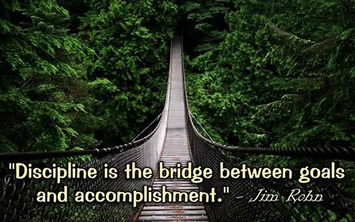 Discipline bridge